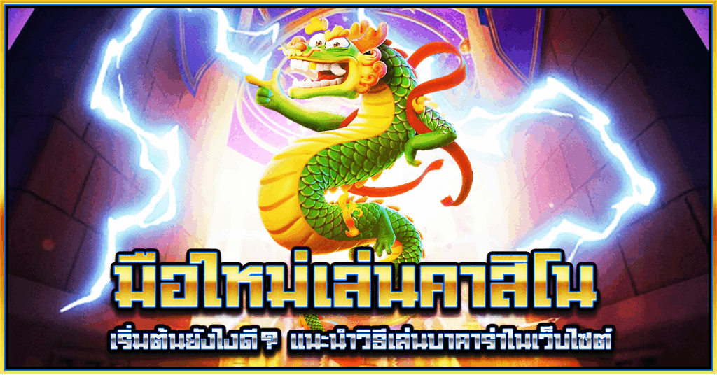 มือใหม่เล่นคาสิโน